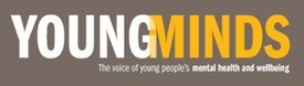 Young minds logo
